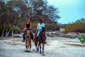 Cartagena, Blue Apple Beach, Horse Treks
