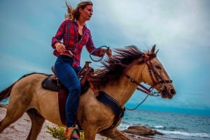 Cartagena, Blue Apple Beach, Horse Treks