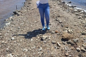 CARTAGENA: Tur til Totumo-vulkanen og Galerazamba-saltmarsken (Mar Rosa)!