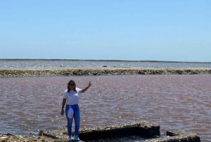 CARTAGENA: Totumo-tulivuori ja Galerazamban suolajärvet (Mar Rosa) -retki!