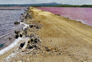 CARTAGENA: Totumo-tulivuori ja Galerazamban suolajärvet (Mar Rosa) -retki!