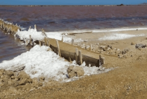 CARTAGENA: Totumo-tulivuori ja Galerazamban suolajärvet (Mar Rosa) -retki!