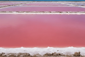 CARTAGENA: Tur til Totumo-vulkanen og Galerazamba-saltmarsken (Mar Rosa)!