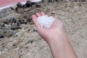 CARTAGENA: Tur til Totumo-vulkanen og Galerazamba-saltmarsken (Mar Rosa)!