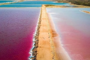 CARTAGENA: Tur til Totumo-vulkanen og Galerazamba-saltmarsken (Mar Rosa)!