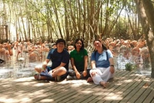 Cartagena: Tour AVIARY and Caribbean Lunch in Playa Blanca