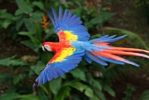 Cartagena: Tour AVIARY and Caribbean Lunch in Playa Blanca