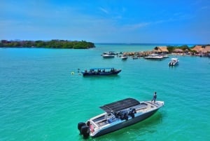 Cartagena: TOUR PRIVATE to the Rosario Islands in boat