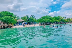 Cartagena: TOUR PRIVATE to the Rosario Islands in boat