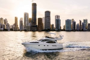 Cartagena: TOUR PRIVATE to the Rosario Islands in boat