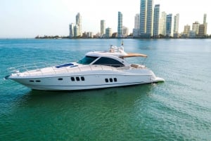 Cartagena: TOUR PRIVATE to the Rosario Islands in boat