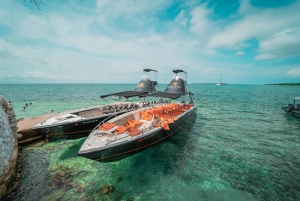 Cartagena: TOUR PRIVATE to the Rosario Islands in boat