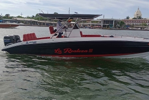 Cartagena: PRIVAT TUR til Rosario-øerne i båd