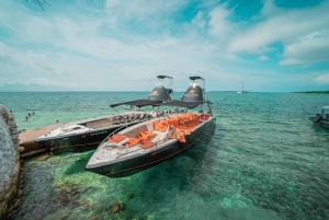 Cartagena: PRIVAT TUR til Rosario-øerne i båd