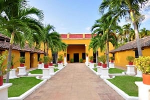 Cartagena: Tour full to Barranquilla and Santa Marta