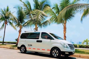 Cartagena: Transport fra flyplassen - Hotell i Marbella