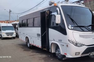 Cartagena: Transport to the aviary on the island of Barù