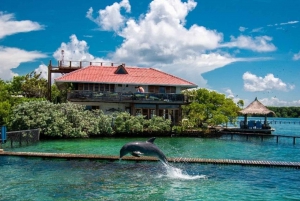 Cartagena: Transportation to Rosario Islands round trip