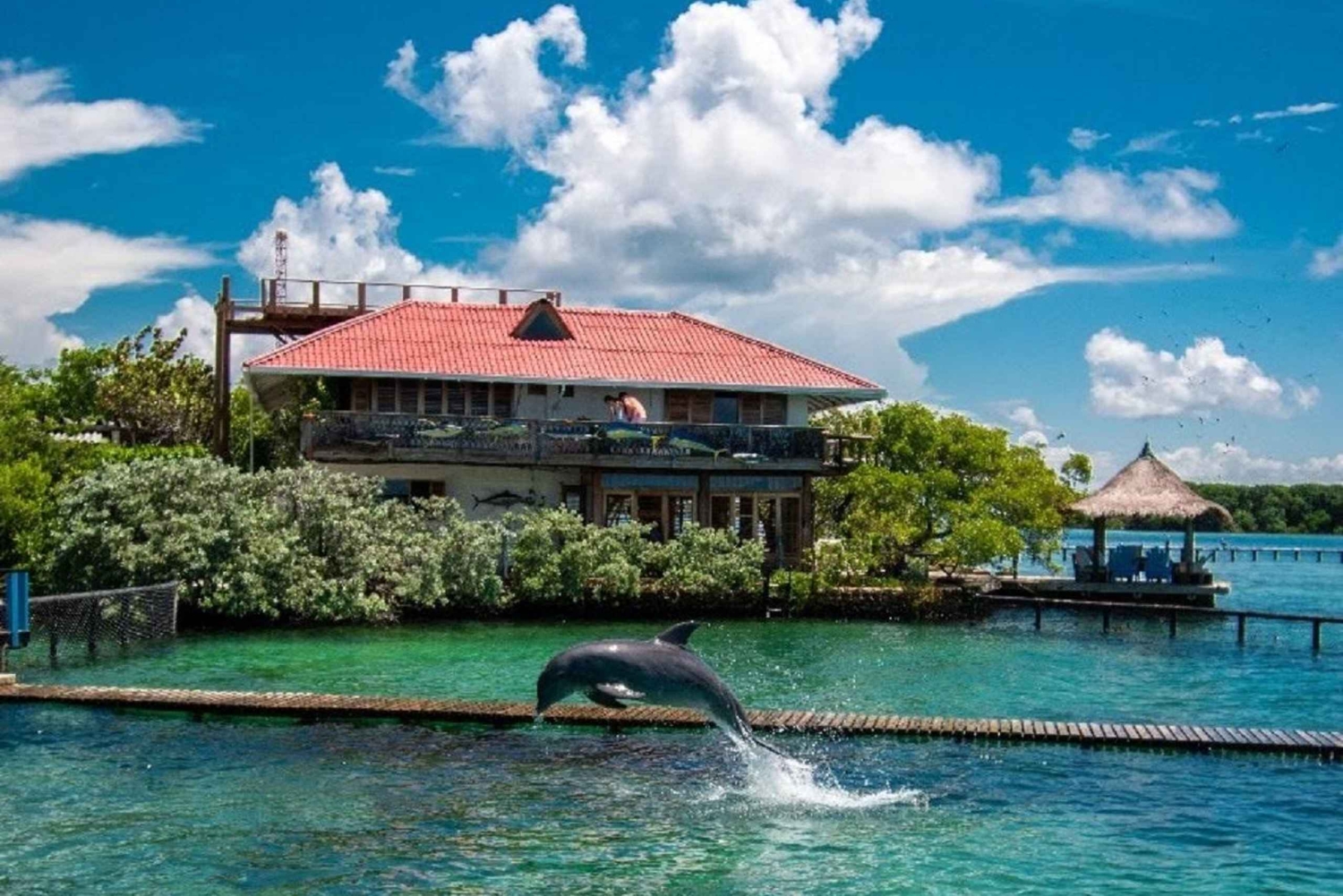 Cartagena: Transporte de ida e volta para as Ilhas do Rosário