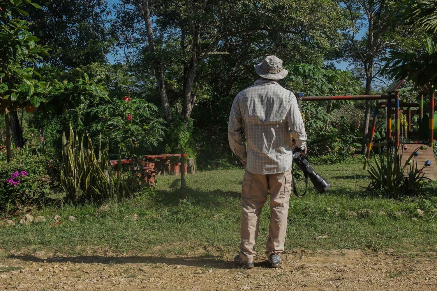 Картахена: частный тур по тропическому сухому лесу с наблюдением за птицами