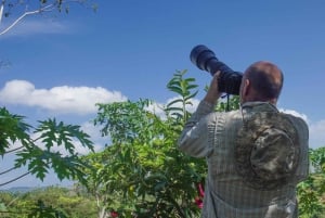 Cartagena: Tropical Dry Forest Private Birdwatching Tour