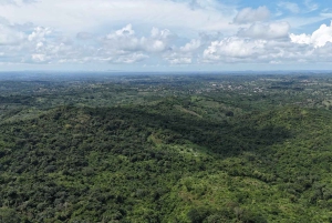 Cartagena: Tropical Dry Forest Private Birdwatching Tour