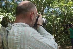 Cartagena: Tropical Dry Forest Private Birdwatching Tour