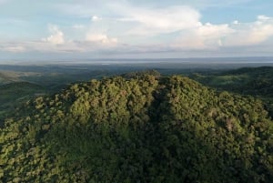 Cartagena: Tropical Dry Forest Private Birdwatching Tour