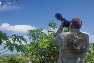 Картахена: частный тур по тропическому сухому лесу с наблюдением за птицами