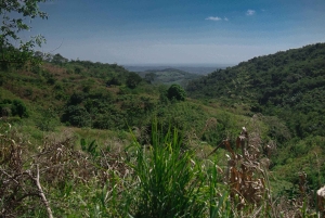 Картахена: частный тур по тропическому сухому лесу с наблюдением за птицами