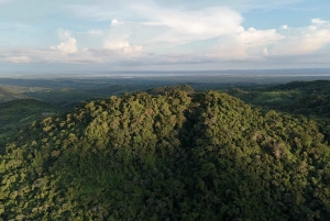 Картахена: частный тур по тропическому сухому лесу с наблюдением за птицами