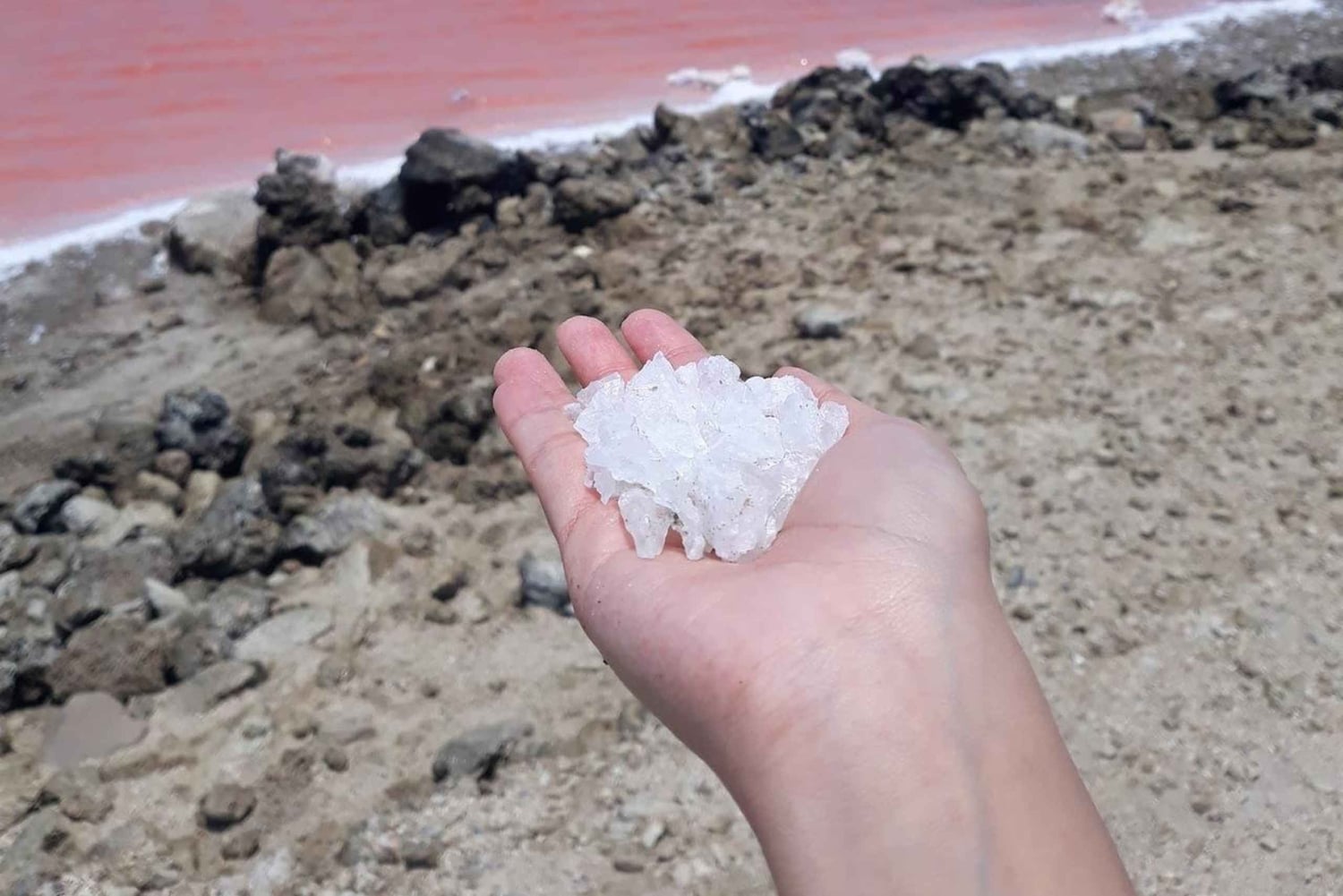 CARTAGENA: Vulkaan del totumo, Galerazamba en Manglar de la Boquilla Route