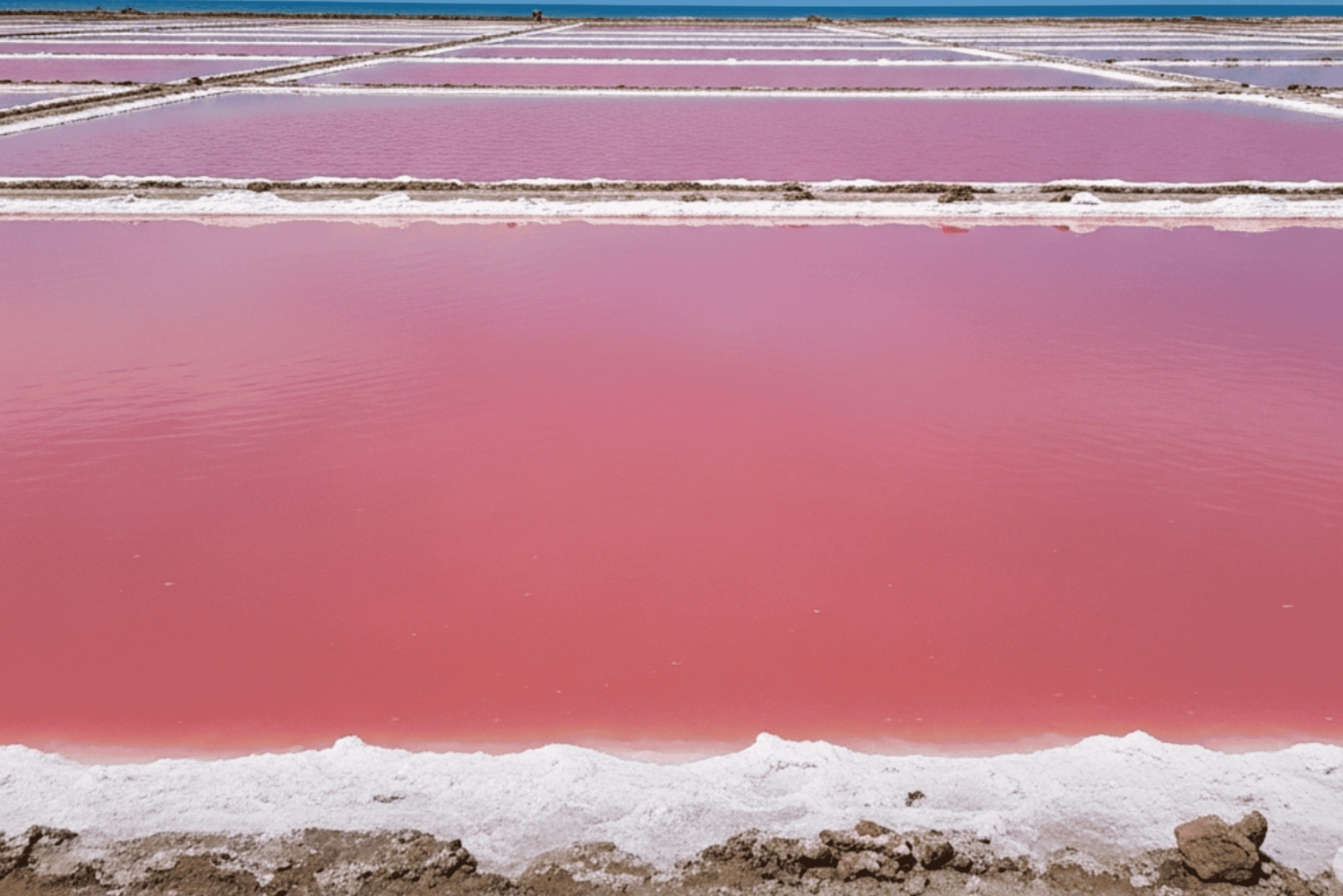 CARTAGENA: Vulkaan del totumo, Galerazamba en Manglar de la Boquilla Route