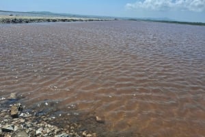 CARTAGENA: Volcan del totumo, Galerazamba und Manglar de la Boquilla Route