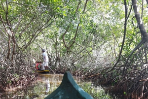 КАРТАГЕНА: вулкан дель Тотумо, Галерасамба и маршрут Манглар-де-ла-Бокилья