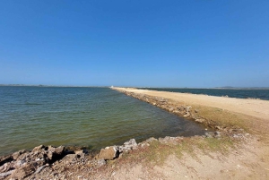 КАРТАГЕНА: вулкан дель Тотумо, Галерасамба и маршрут Манглар-де-ла-Бокилья