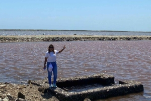 CARTAGENA: Vulkaan del totumo, Galerazamba en Manglar de la Boquilla Route