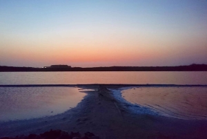 CARTAGENA: Vulkaan del totumo, Galerazamba en Manglar de la Boquilla Route