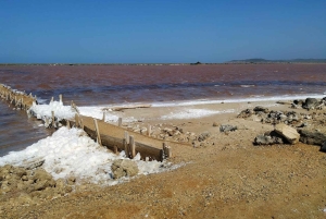CARTAGENA: Vulkaan del totumo, Galerazamba en Manglar de la Boquilla Route