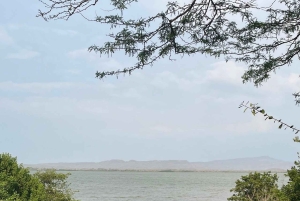 CARTAGENA: Vulkaan del totumo, Galerazamba en Manglar de la Boquilla Route