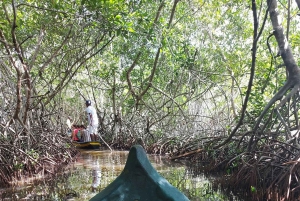 CARTAGENA: Vulkaan del totumo, Galerazamba en Manglar de la Boquilla Route