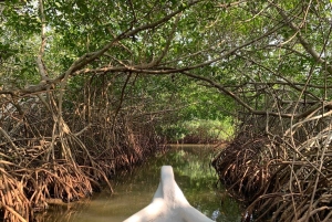 CARTAGENA: Vulkaan del totumo, Galerazamba en Manglar de la Boquilla Route