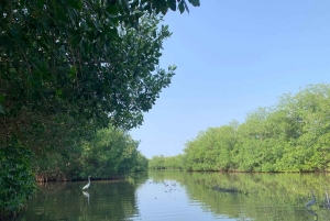 CARTAGENA: Vulkaan del totumo, Galerazamba en Manglar de la Boquilla Route