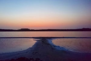 CARTAGENA: Volcan del totumo, Galerazamba und Manglar de la Boquilla Route