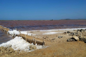 CARTAGENA: Volcan del totumo, Galerazamba und Manglar de la Boquilla Route