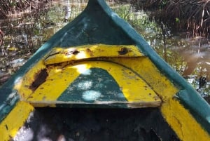 CARTAGENA: Volcan del totumo, Galerazamba und Manglar de la Boquilla Route