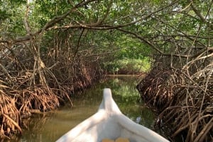 CARTAGENA: Volcan del totumo, Galerazamba und Manglar de la Boquilla Route