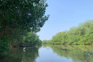 CARTAGENA: Volcan del totumo, Galerazamba und Manglar de la Boquilla Route