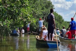 CARTAGENA: Volcan del totumo, Galerazamba und Manglar de la Boquilla Route