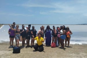 CARTAGENA: Volcan del totumo, Galerazamba und Manglar de la Boquilla Route